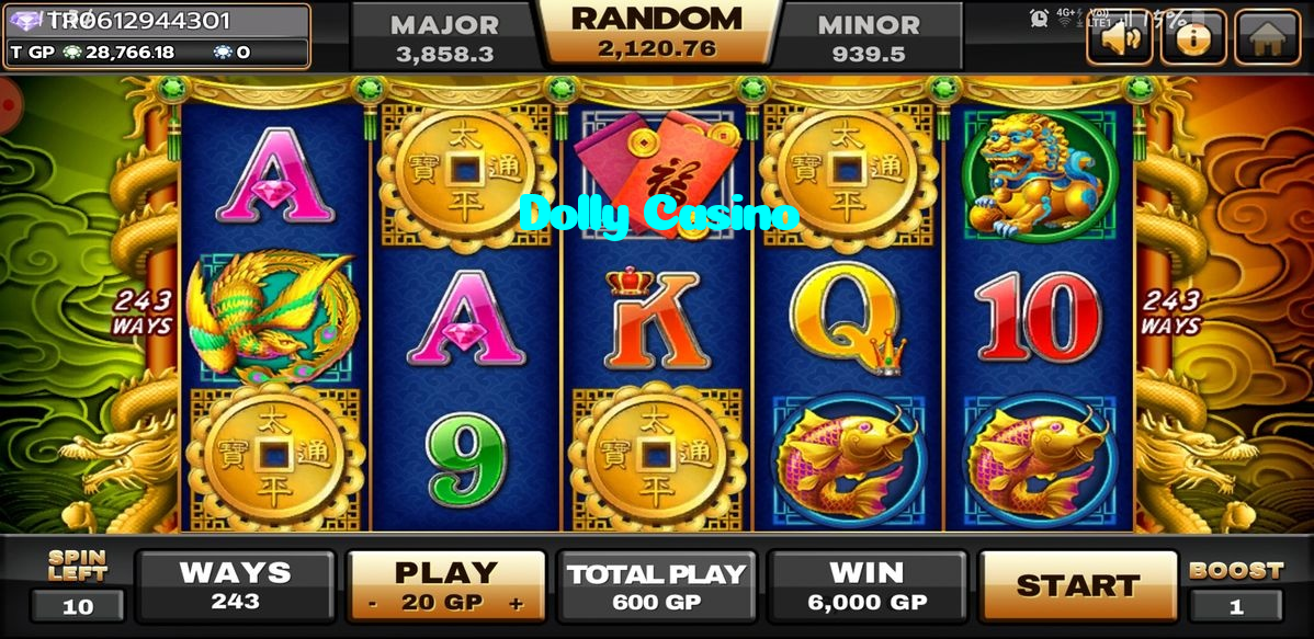 available types of Dolly Casino bet including pre-match live express and system bets